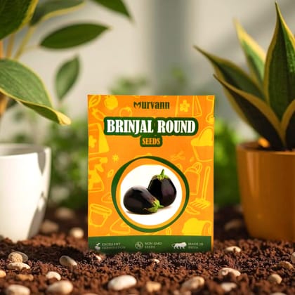 Buy Brinjal Round Seeds � GMO Free | Excellent Germination | Easy to Grow | Disease Resistance Online | Urvann.com