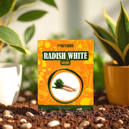 Buy Radish White Seeds � GMO Free | Excellent Germination | Easy to Grow | Disease Resistance Online | Urvann.com