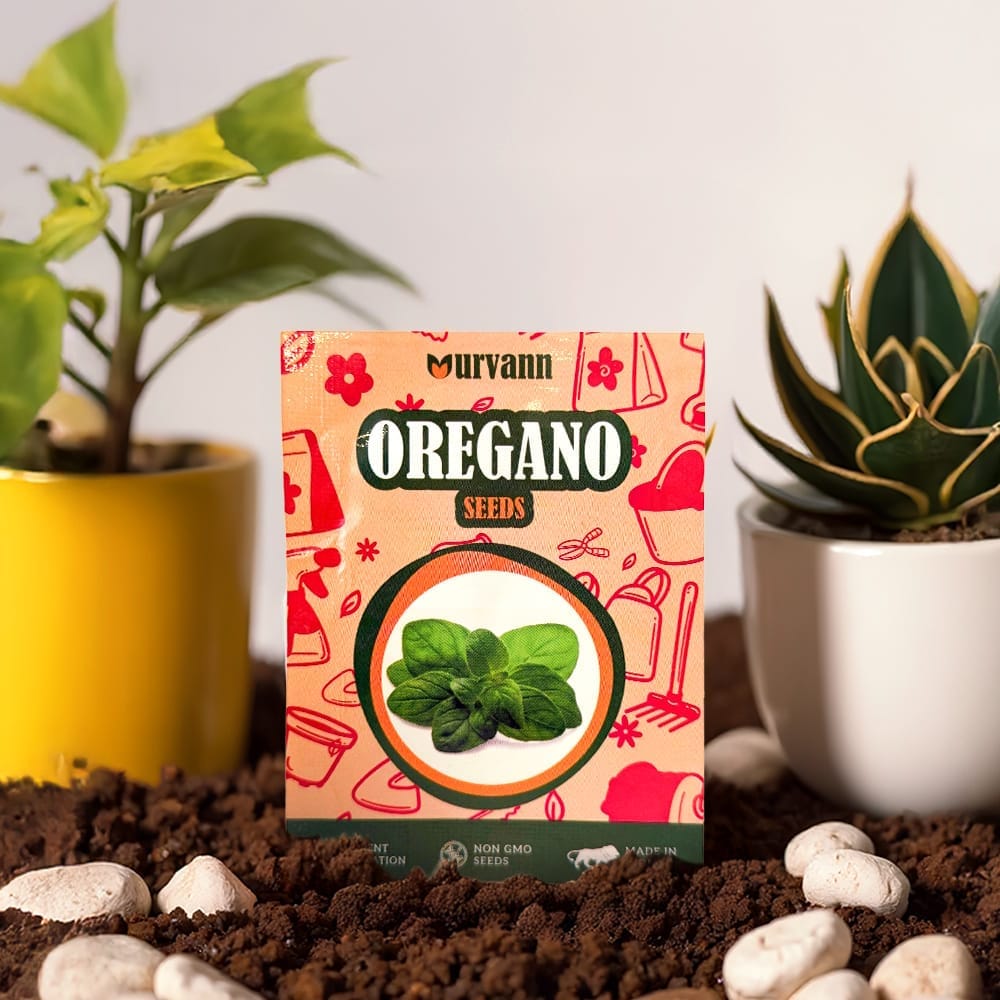 Buy Oregano Seeds - Excellent Germination Online | Urvann.com Oregano Seeds - GMO Free | Excellent Germination | Easy to Grow | Hand Picked