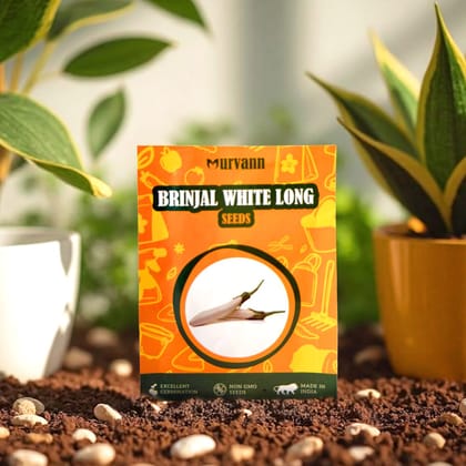 Buy Brinjal White Long Seeds � GMO Free | Excellent Germination | Easy to Grow | Disease Resistance Online | Urvann.com