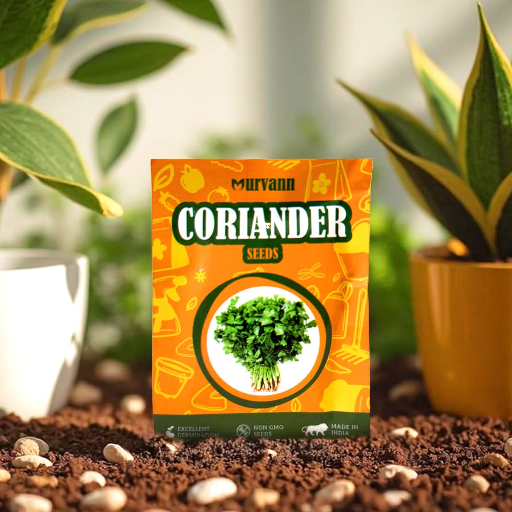 Coriander / Dhaniya Seeds – GMO Free | Excellent Germination | Easy to Grow | Disease Resistance