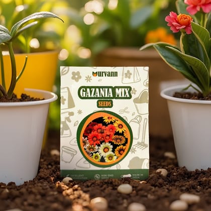 Buy Gazania Seeds – GMO Free | Excellent Germination | Easy to Grow | Vibrant Blooms Online | Urvann.com