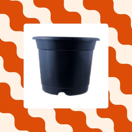 Free Gift - 4 Inch Black Nursery Pot - Flash Sale - Flash Sale