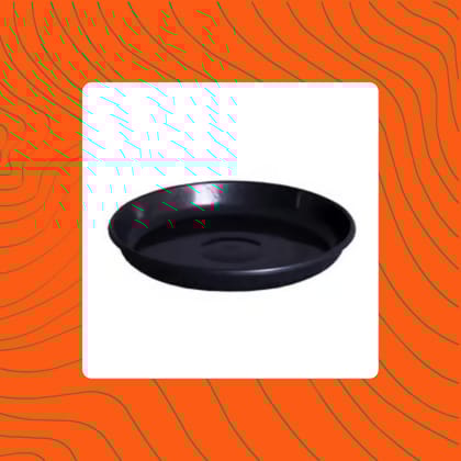 Free Gift - 6 Inch Black Premium Black Tray - To keep under the Pot - Flash Sale
