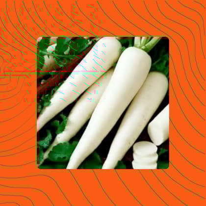 Free Gift - Radish White Seeds - Excellent Germination - Flash Sale
