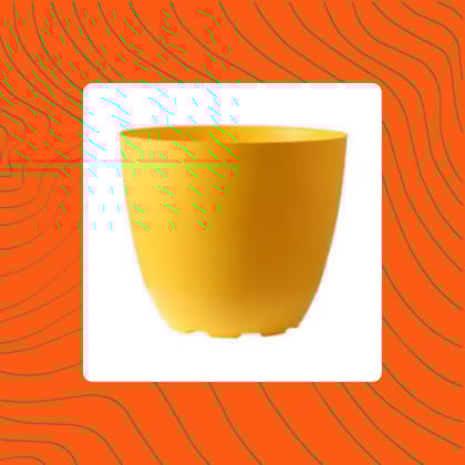 Free Gift - 4 Inch Yellow Premium Orchid Round Plastic Pot - Flash Sale