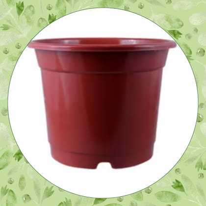 Free Gift - 5 Inch Red Nursery Pot - Flash Sale