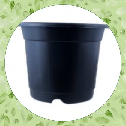 Free Gift - 4 Inch Black Nursery Pot - Flash Sale