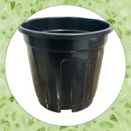 Free Gift - 6 Inch Black Super Nursery Pot - Flash Sale