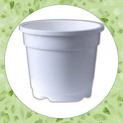 Free Gift - 4 Inch White Nursery Pot - Flash Sale