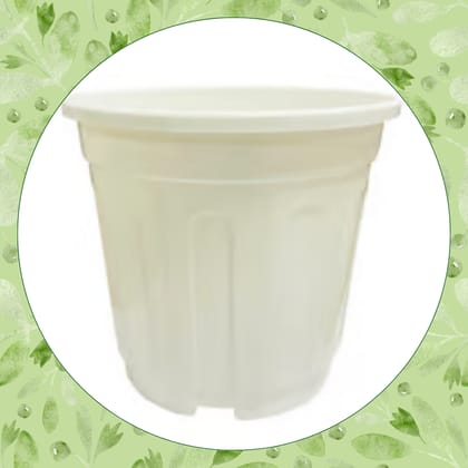 Free Gift - 6 Inch White Super Nursery Pot - Flash Sale