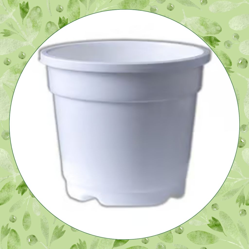 Free Gift - 4 Inch White Nursery Pot - Flash Sale