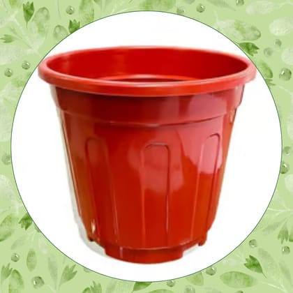 Free Gift - 6 Inch Red Super Nursery Pot - Flash Sale