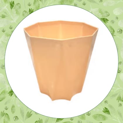 Free Gift - 4 Inch Beige Marble Premium Diamanti Plastic Pot - Flash Sale