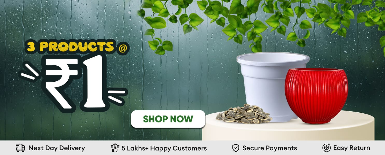 3 products at Rs 1