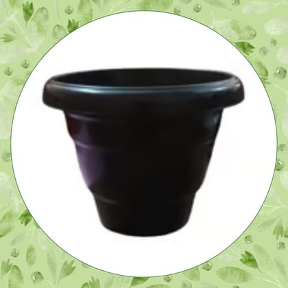 Free Gift - 8 Inch Black Classy Plastic Pot - Flash Sale
