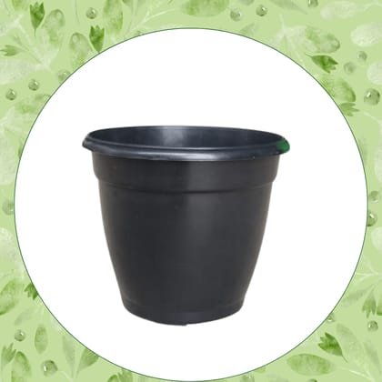 Free Gift - 3 Inch Ruby Black Elora Premium Plastic Planter - Flash Sale