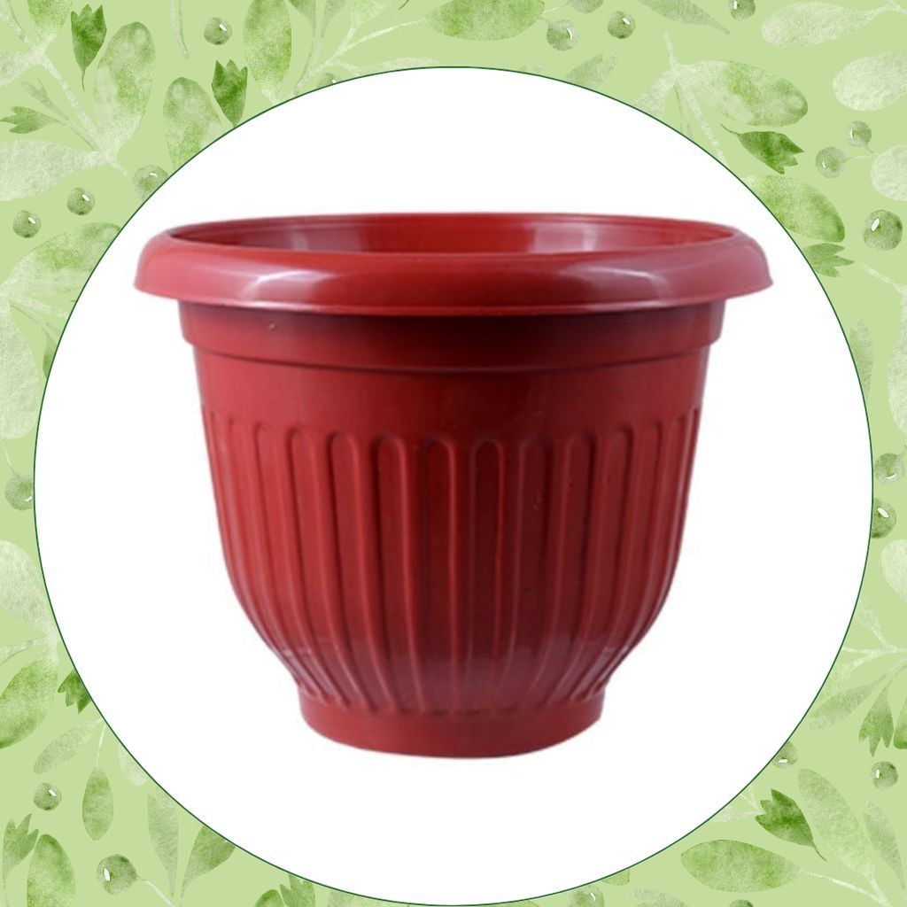 Free Gift - 8 Inch Terracotta Red Olive Plastic Pot - Flash Sale