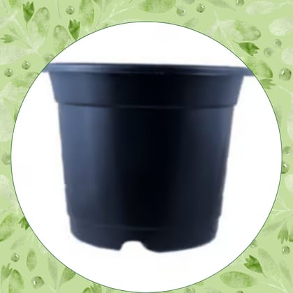 Free Gift - 4 Inch Black Nursery Pot - Flash Sale