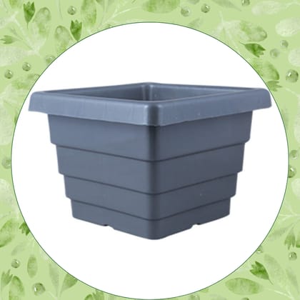 Free gift - 4 Inch Grey Premium Orchid Square Plastic Pot - Flash Sale