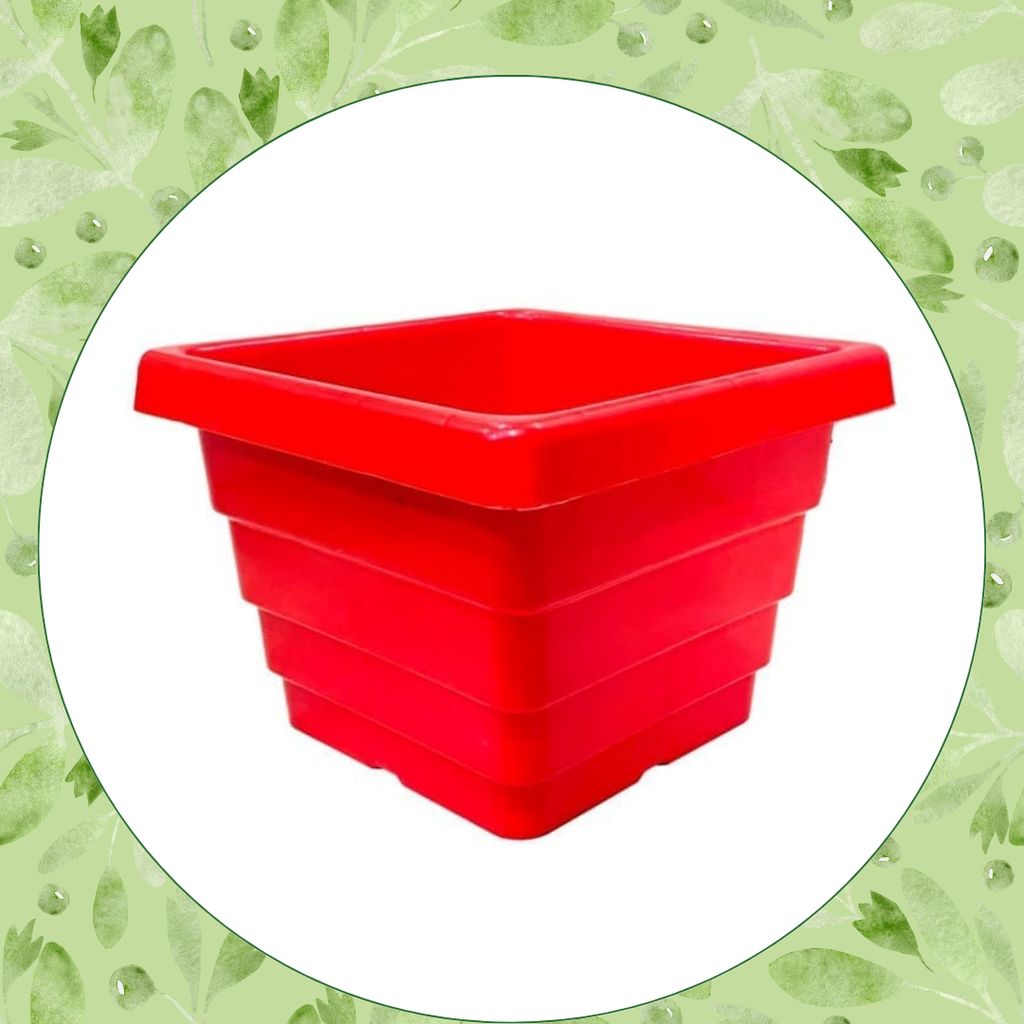 Free Gift - 4 Inch Red Premium Orchid Square Plastic Pot - Flash Sale