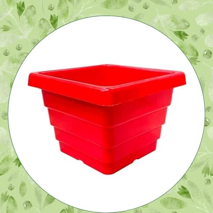 Free Gift - 4 Inch Red Premium Orchid Square Plastic Pot - Flash Sale