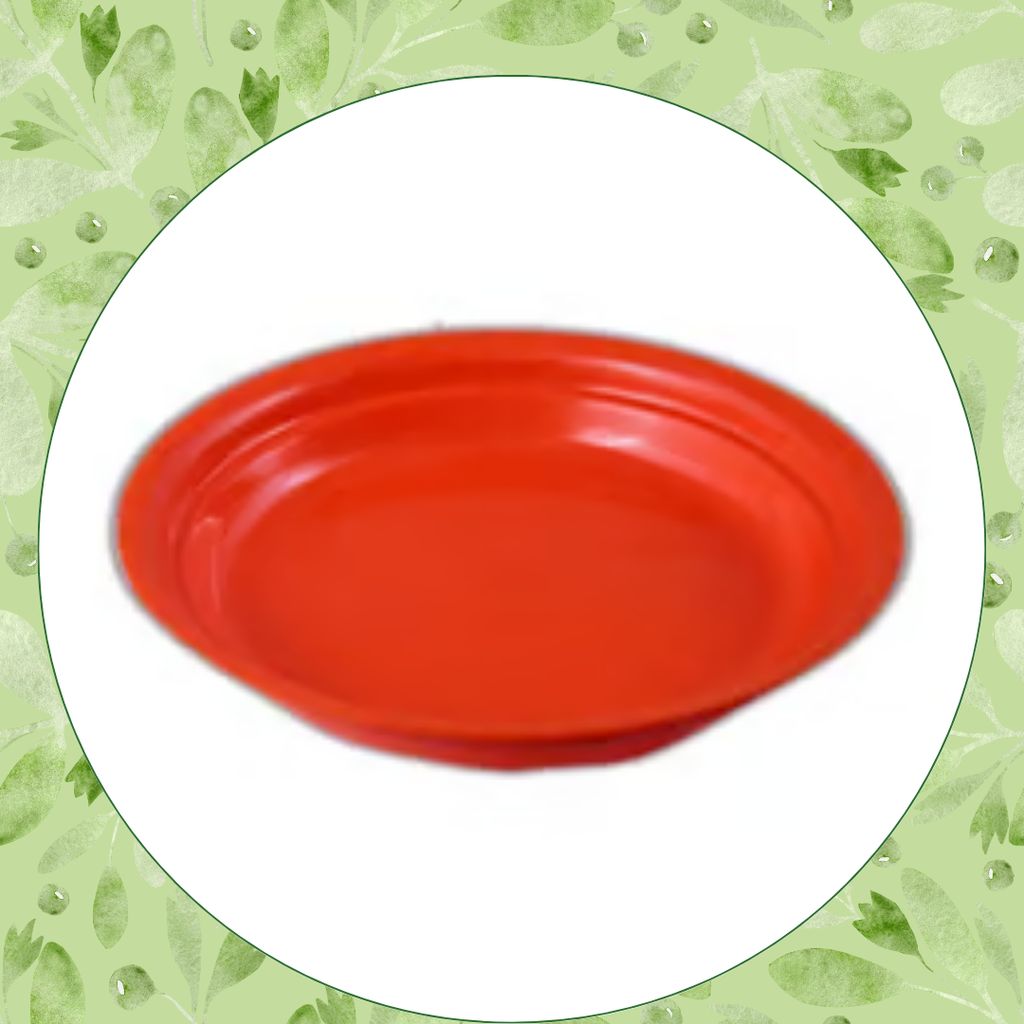 Free Gift - 6.5 Inch Terracotta Red Premium Round Trays - To keep under the Pots - Flash Sale Free Gift - 6.5 Inch Terracotta Red Premium Round Trays - To keep under the Pots - Flash Sale
