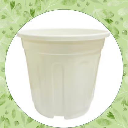 Free Gift - 6 Inch White Super Nursery Pot - Flash Sale