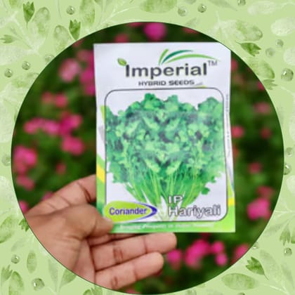 Free Gift - Coriander / Dhaniya Seeds - Excellent Germination - Flash Sale