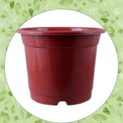 Free Gift - 4 Inch Red Nursery Pot - Flash Sale