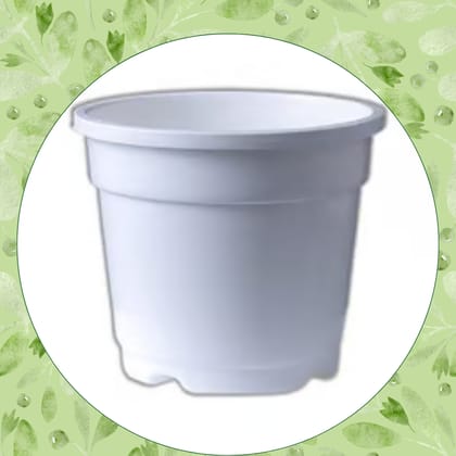 Free Gift - 4 Inch White Nursery Pot - Flash Sale
