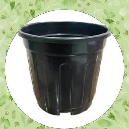 Free Gift - 6 Inch Black Super Nursery Pot - Flash Sale