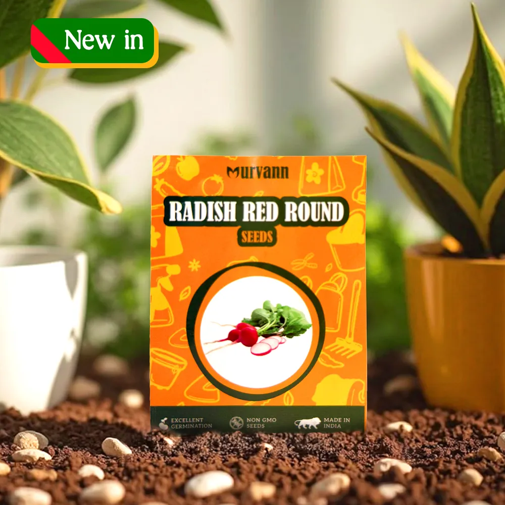 Radish Red round Seeds - GMO Free | Excellent Germination | Easy to Grow | Disease Resistance