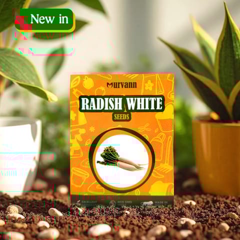 Radish White Seeds - GMO Free | Excellent Germination | Easy to Grow | Disease Resistance