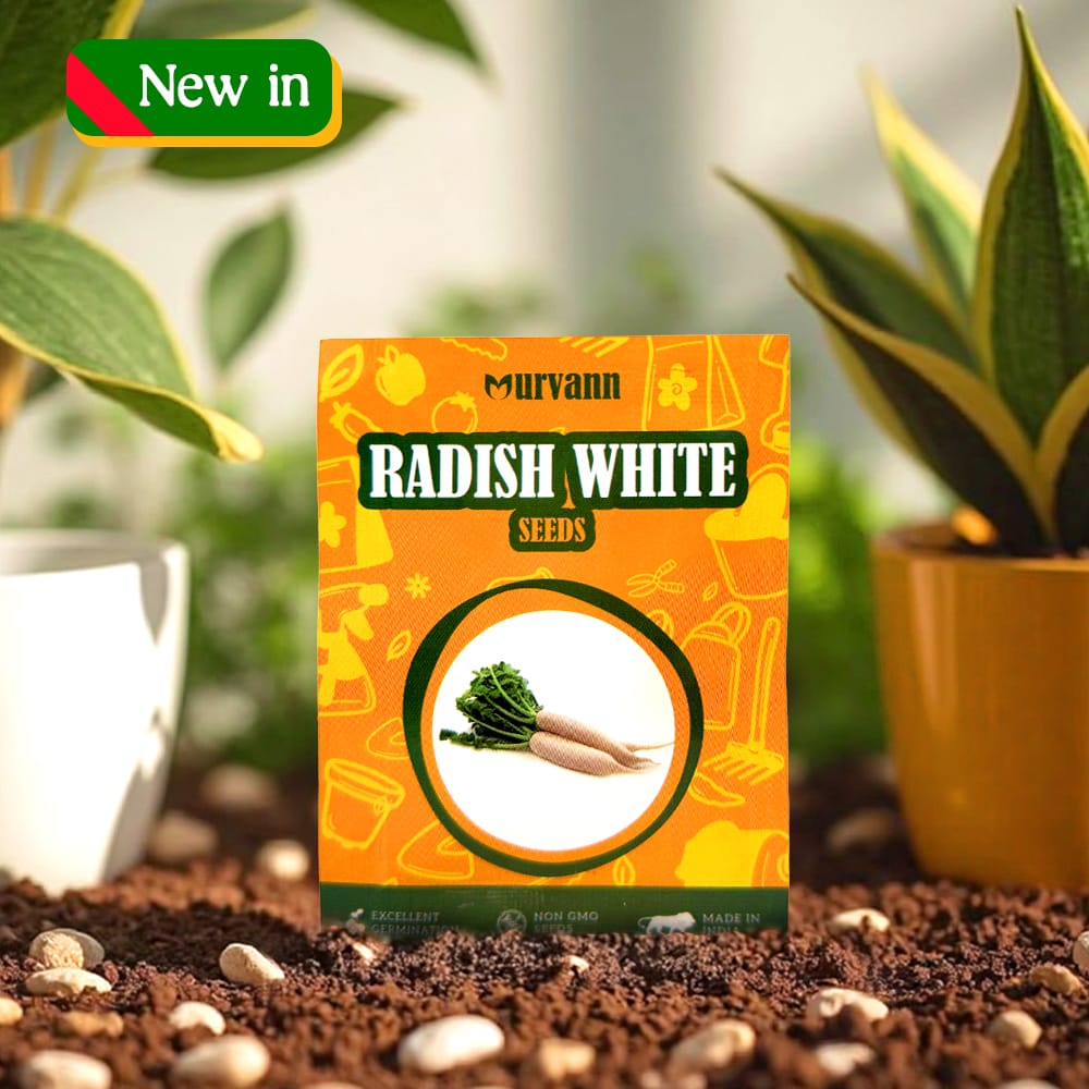 Radish White Seeds - GMO Free | Excellent Germination | Easy to Grow | Disease Resistance