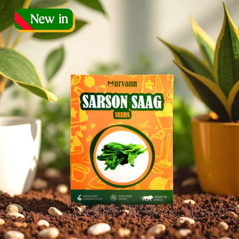 Sarso Saag Seeds – GMO Free | Excellent Germination | Easy to Grow | Disease Resistance - for veggies