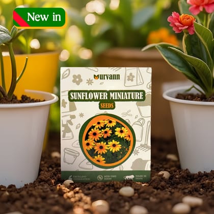 Buy Sunflower Miniature Seeds ? GMO Free | Excellent Germination | Easy to Grow | Vibrant Blooms Online | Urvann.com