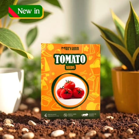 Tomato Seeds - GMO Free | Excellent Germination | Easy to Grow | Disease Resistance
