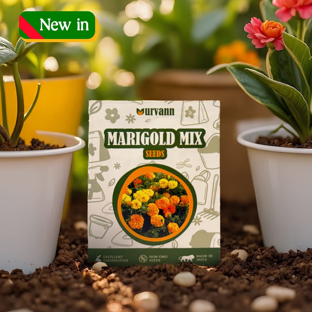 Buy Marigold / Genda Mixed Seeds ? GMO Free | Excellent Germination | Easy to Grow | Vibrant Blooms Online | Urvann.com Marigold / Genda Mixed Seeds - GMO Free | Excellent Germination | Easy to Grow | Vibrant Blooms