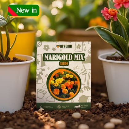 Buy Marigold / Genda Mixed Seeds ? GMO Free | Excellent Germination | Easy to Grow | Vibrant Blooms Online | Urvann.com
