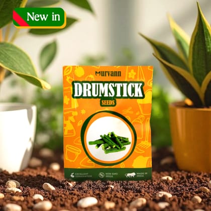 Buy Moringa / Drumstick / Sahjan Seeds ? GMO Free | Excellent Germination | Easy to Grow | Disease Resistance Online | Urvann.com