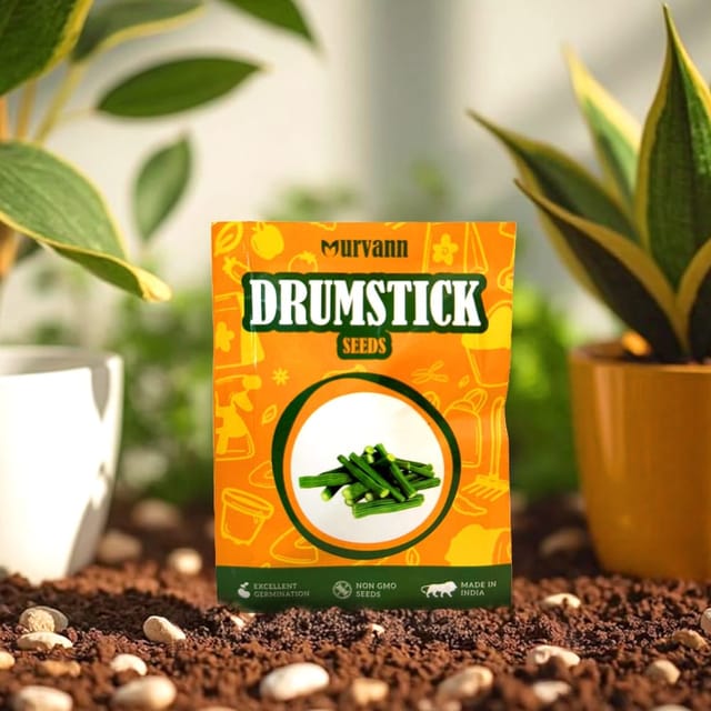 Free Next Day Delivery | Moringa / Drumstick / Sahjan Seeds GMO Free |  Excellent Germination | Easy to Grow | Disease Resistance