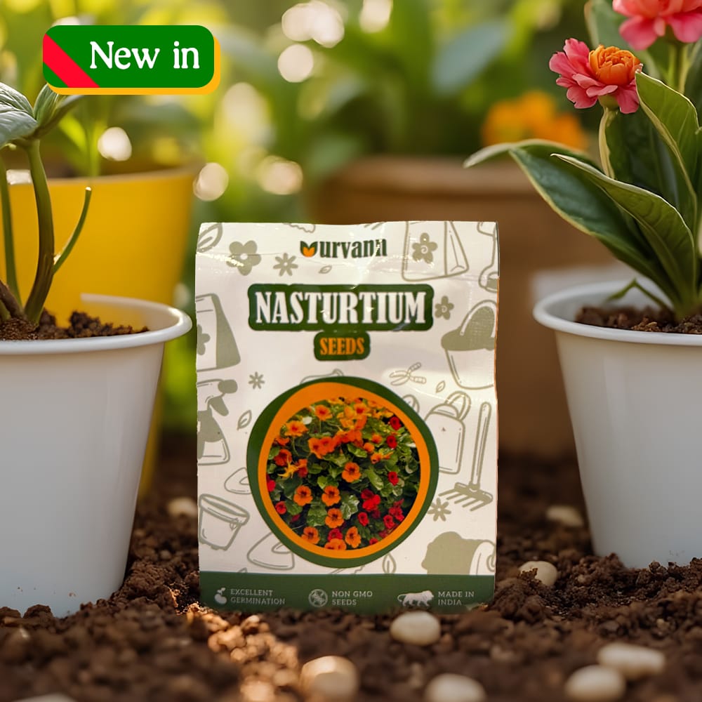 Buy Nasturtium Seeds ? GMO Free | Excellent Germination | Easy to Grow | Vibrant Blooms Online | Urvann.com Nasturtium Seeds - GMO Free | Excellent Germination | Easy to Grow | Vibrant Blooms