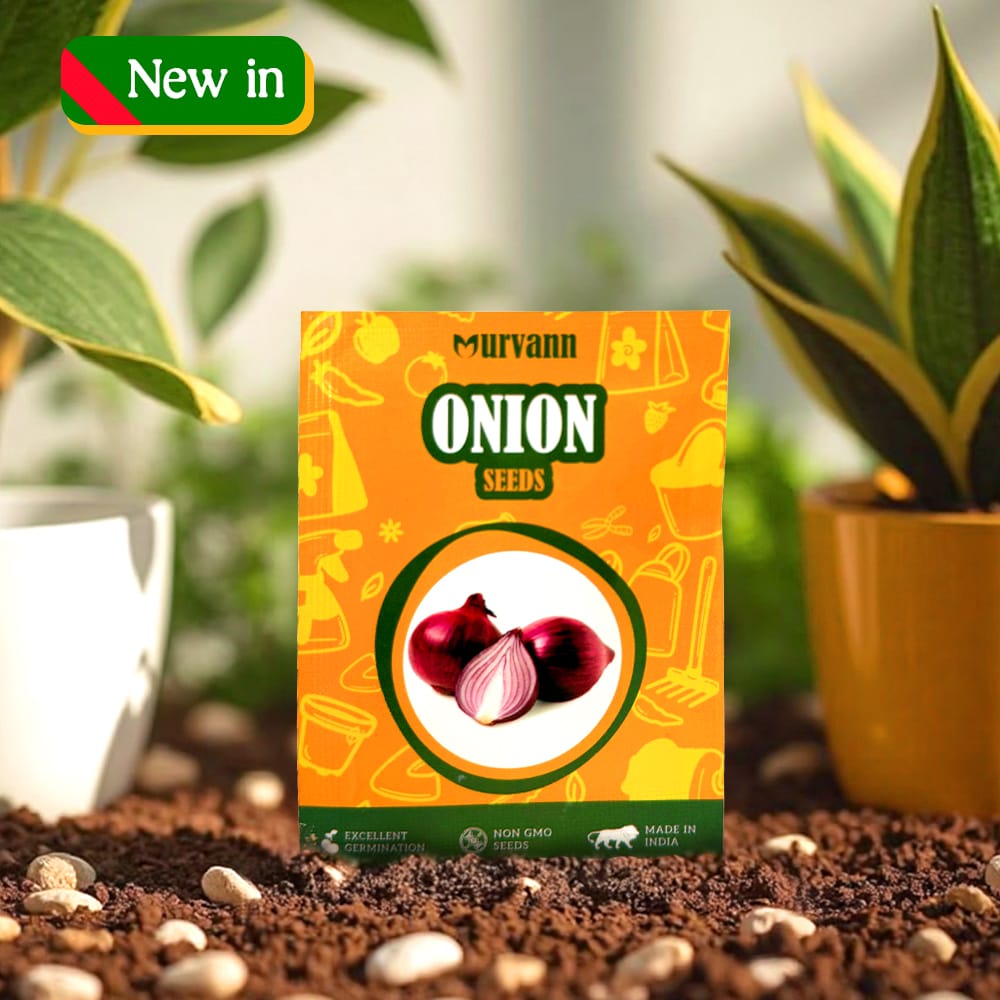 Onion Seeds - GMO Free | Excellent Germination | Easy to Grow | Disease Resistance