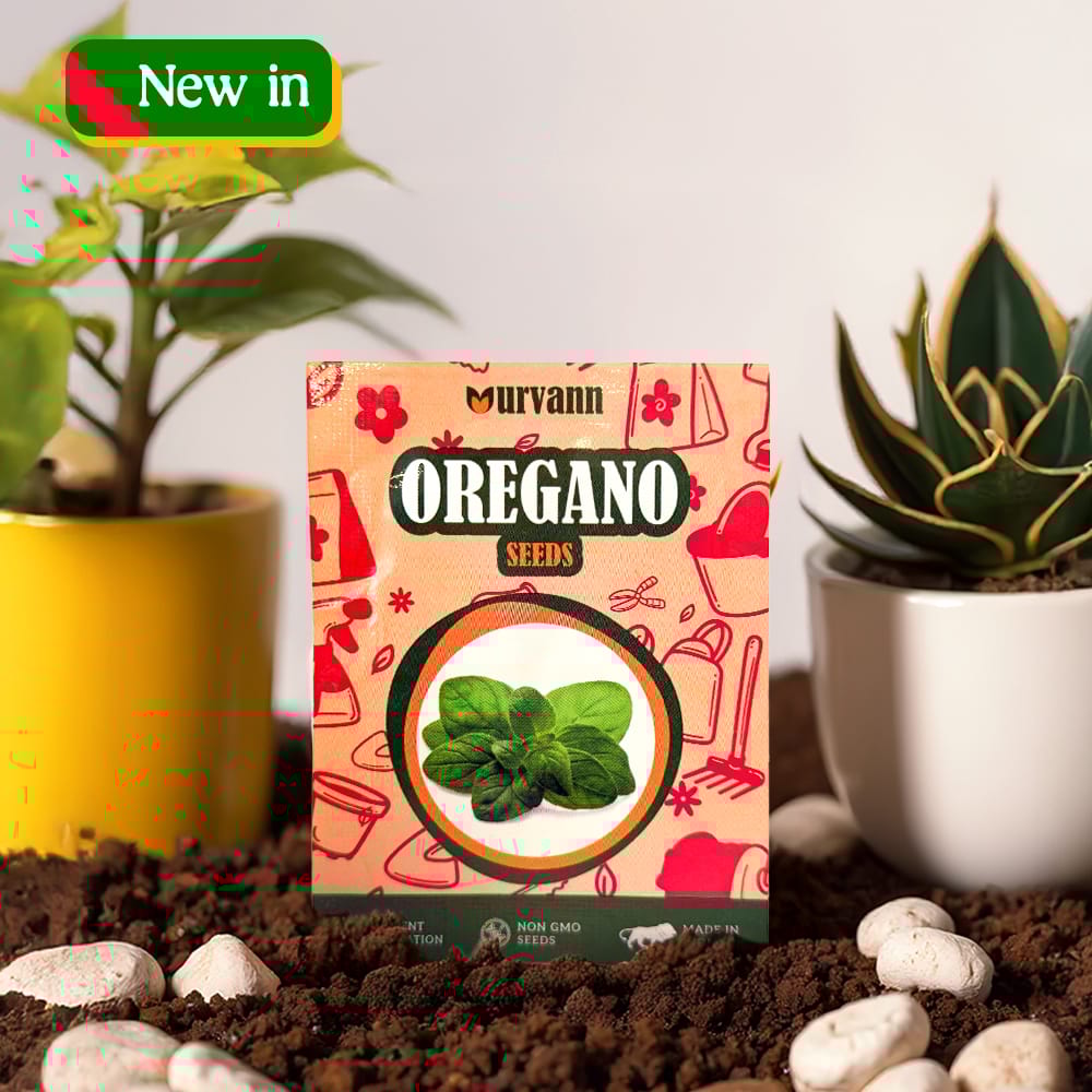 Oregano Seeds - GMO Free | Excellent Germination | Easy to Grow | Hand Picked