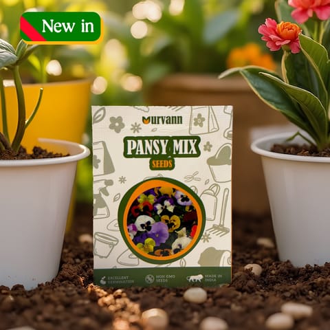 Pansy Mixed Seeds - GMO Free | Excellent Germination | Easy to Grow | Vibrant Blooms