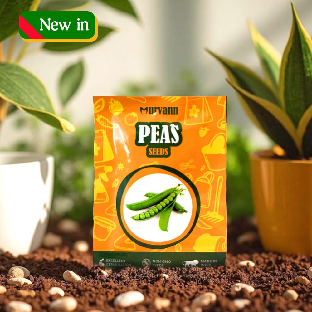 Peas Seeds - GMO Free | Excellent Germination | Easy to Grow | Disease Resistance