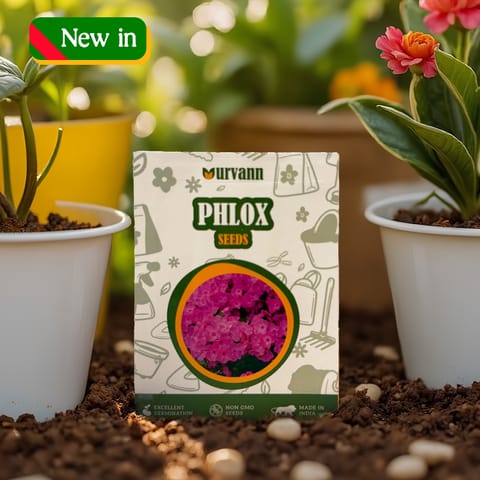 Phlox Seeds - GMO Free | Excellent Germination | Easy to Grow | Vibrant Blooms