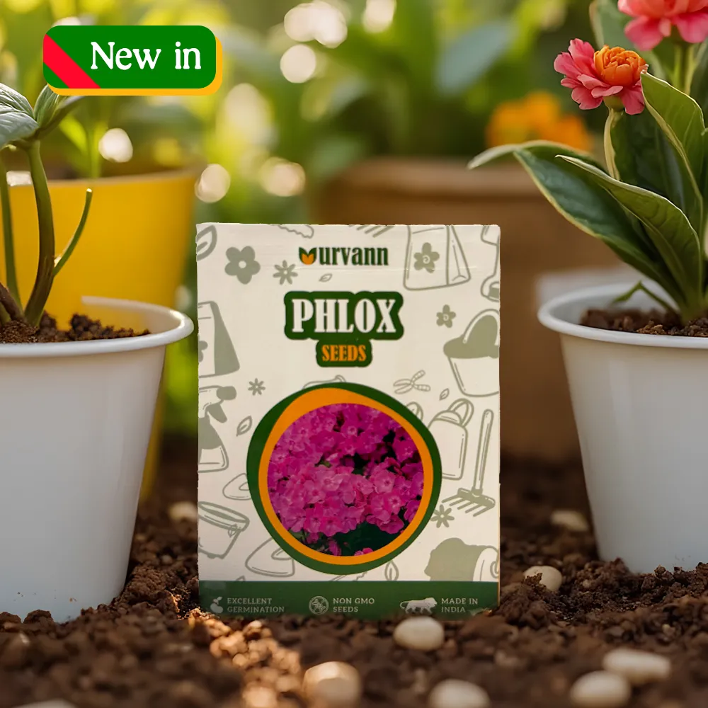 Phlox Seeds - GMO Free | Excellent Germination | Easy to Grow | Vibrant Blooms