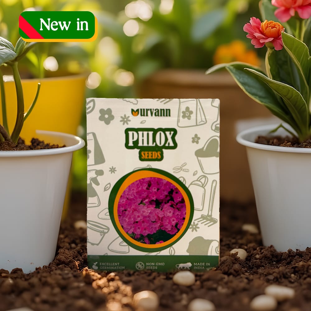 Phlox Seeds - GMO Free | Excellent Germination | Easy to Grow | Vibrant Blooms